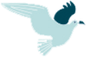bird graphic